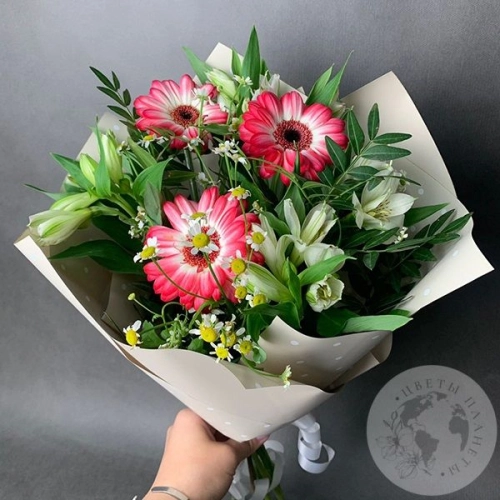 Букет из альстромерии, ромашек и гербер "На торжество"