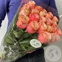 23 розы коралловых 70 см