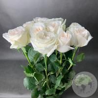 Пионовидная роза белая 11 шт. 80 см. в магазине Цветы Планеты