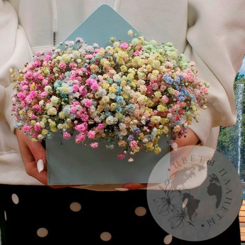 Композиция из гипсофил в деревянном ящике в магазине Цветы Планеты