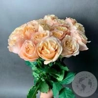 9 кустовых пионовидных роз бежевых в магазине Цветы Планеты