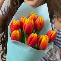 9 тюльпанов красно-желтых в магазине Цветы Планеты