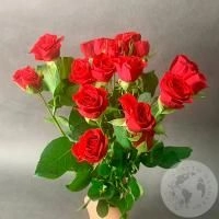 9 кустовых роз красных 40 см. в магазине Цветы Планеты
