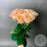 3 пионовидные розы бежевые в магазине Цветы Планеты