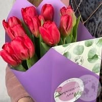 9 тюльпанов красных в магазине Цветы Планеты