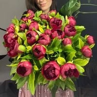 51 пион бордовый в магазине Цветы Планеты