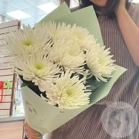 7 хризантем белых в магазине Цветы Планеты 7 хризантем белых