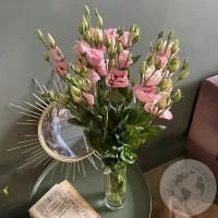Эустома розовая 5 шт.
