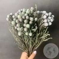 5 бруний в магазине Цветы Планеты