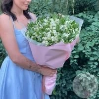 Букет из 51 альстромерии белой