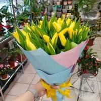 Букет из 35 желтых тюльпанов