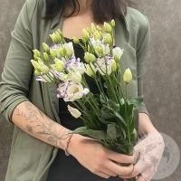 Эустома бело-фиолетовая 5 шт.