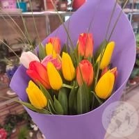 Букет из 15 тюльпанов микс