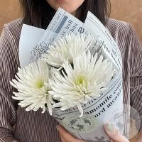 3 хризантемы белых в магазине Цветы Планеты 3 хризантемы белых