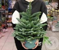 Композиция 