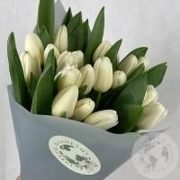 25 тюльпанов белых в магазине Цветы Планеты