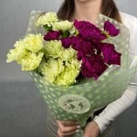 19 гвоздик MIX