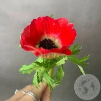 Анемон