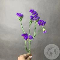 Статица синяя