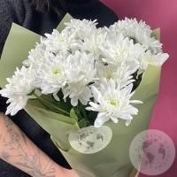  7 Хризантем кустовых белых