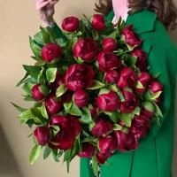 31 Пион бордовый в магазине Цветы Планеты