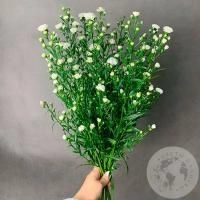 Астер белый 9 шт. Астер белый 9 шт.