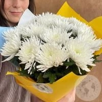 13 хризантем белых в магазине Цветы Планеты 13 хризантем белых