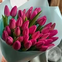 31 тюльпан бордовый в магазине Цветы Планеты