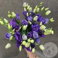 Эустома фиолетовая 5 шт.