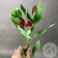 Альстромерия красная