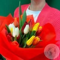 Букет 21 тюльпан микс в магазине Цветы Планеты Букет 21 тюльпан микс