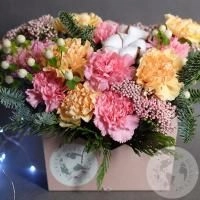 Композиция из гвоздик и хвои в коробке фото Композиция из гвоздик и хвои в коробке