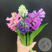 Гиацинт микс 5 шт.