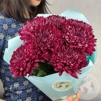 7 хризантем бордовых в магазине Цветы Планеты 7 хризантем бордовых