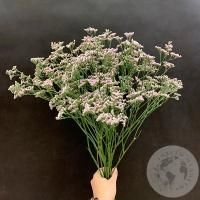 Лимониум розовый 9 шт. в магазине Цветы Планеты