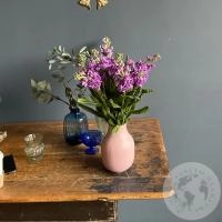 Маттиола розовая 7 шт. в магазине Цветы Планеты