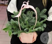 Композиция на Новый год в сумке