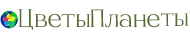 Цветы Планеты Цветы Планеты