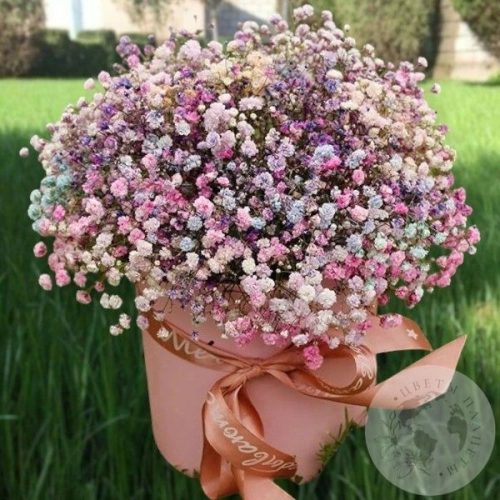 Композиция гипсофил в коробке в магазине Цветы Планеты