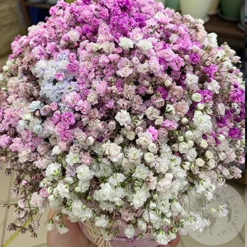 Букет гипсофил в коробке "Светлое чувство"