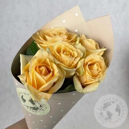 5 роз кремовых 60 см. в магазине Цветы Планеты