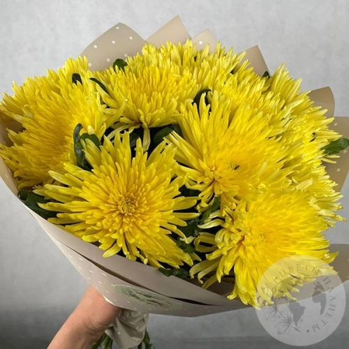 13 хризантем желтых в магазине Цветы Планеты 13 хризантем желтых