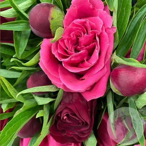 Букет из роз и пионов "Нежность" в магазине Цветы Планеты