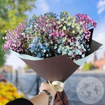 Букет из 9 гипсофил  Букет из 9 гипсофил