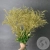 Солидаго Золото 9 шт. в магазине Цветы Планеты