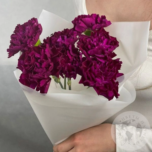 7 гвоздик бордовых в магазине Цветы Планеты