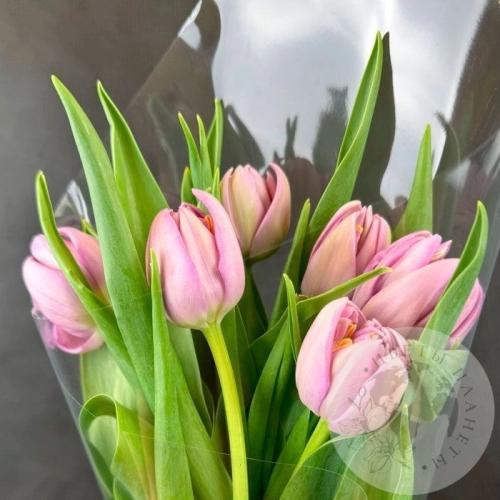 7 розовых пионовидных тюльпанов в магазине Цветы Планеты