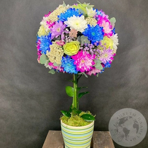 Букет из хризантем и роз в кашпо "Прекрасное дерево" в магазине Цветы Планеты