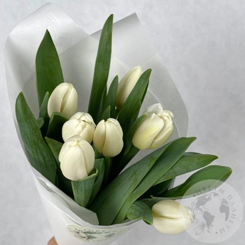 7 тюльпанов белых в магазине Цветы Планеты