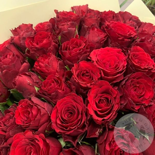 Букет из красных роз 51 шт. 40 см. в магазине Цветы Планеты